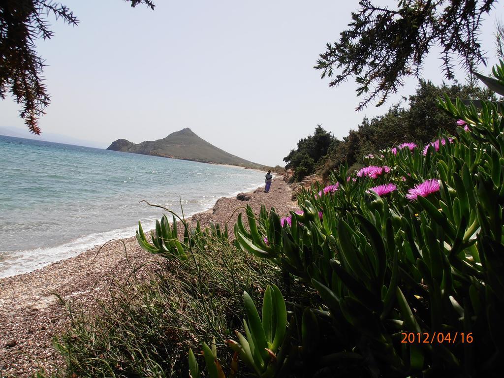 Pyrgis * Molos (Paros)