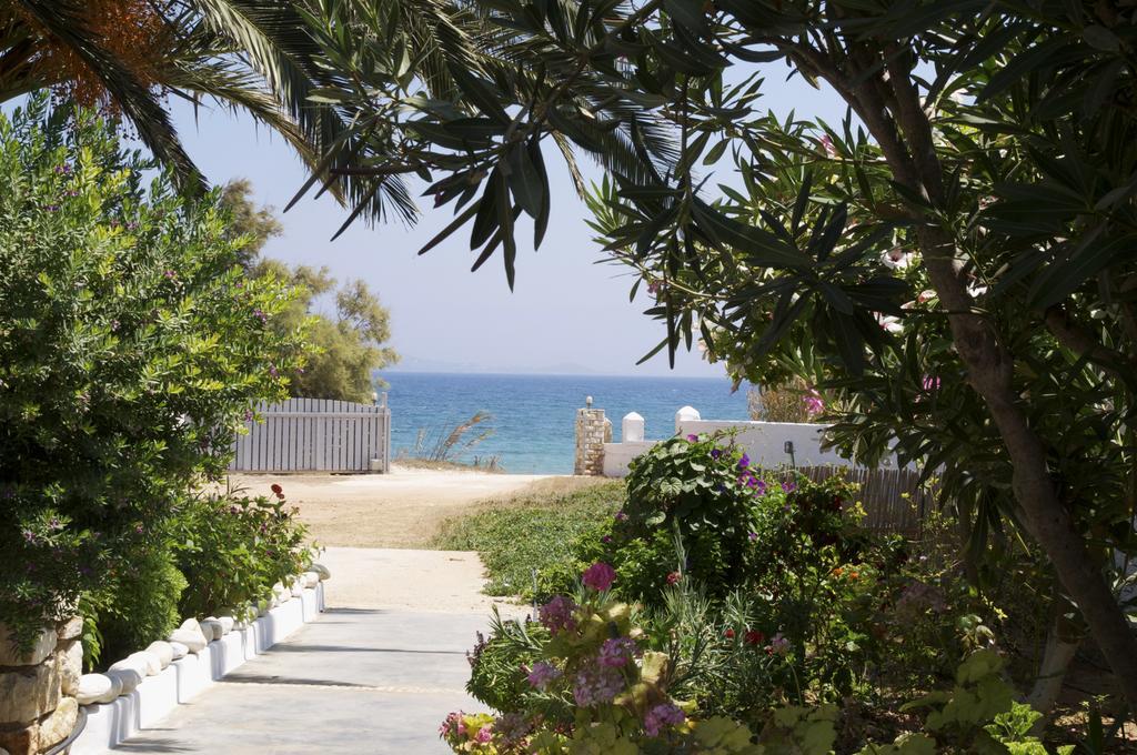 Apartment Pyrgis Molos (Paros)